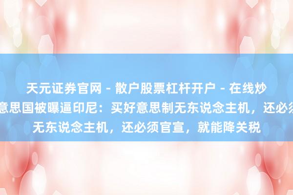 天元证券官网 - 散户股票杠杆开户 - 在线炒股如何配资注册 好意思国被曝逼印尼：买好意思制无东说念主机，还必须官宣，就能降关税