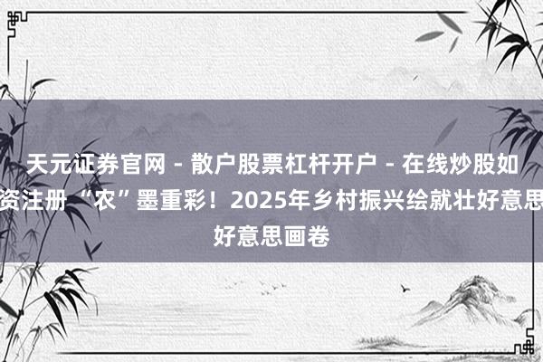 天元证券官网 - 散户股票杠杆开户 - 在线炒股如何配资注册 “农”墨重彩！2025年乡村振兴绘就壮好意思画卷
